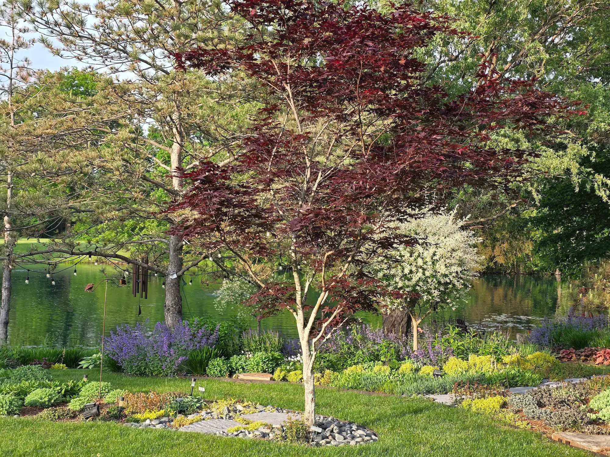 Naturalistic planting with layered perennials and grasses