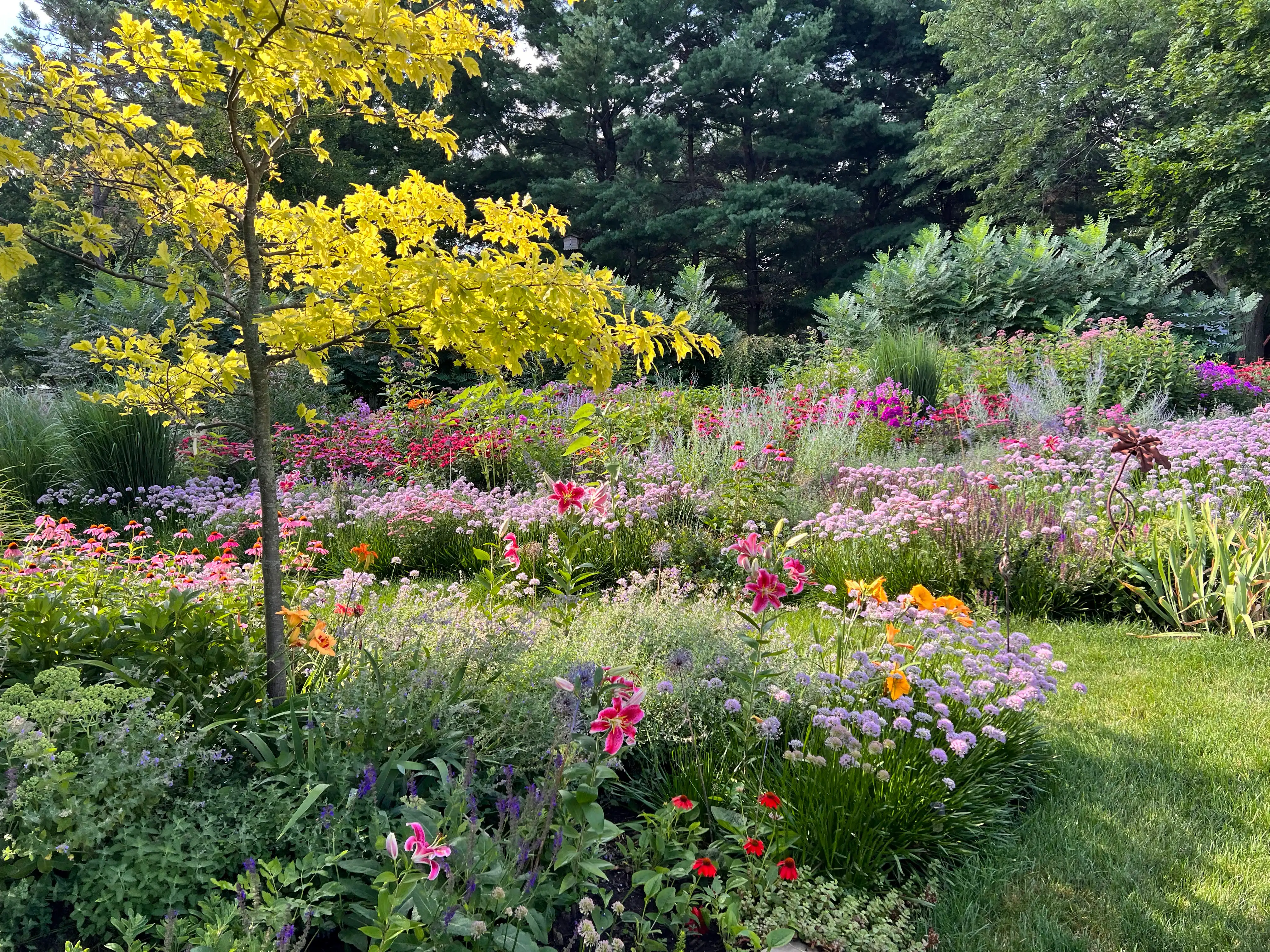World-Class Naturalistic Perennial Gardening & Design