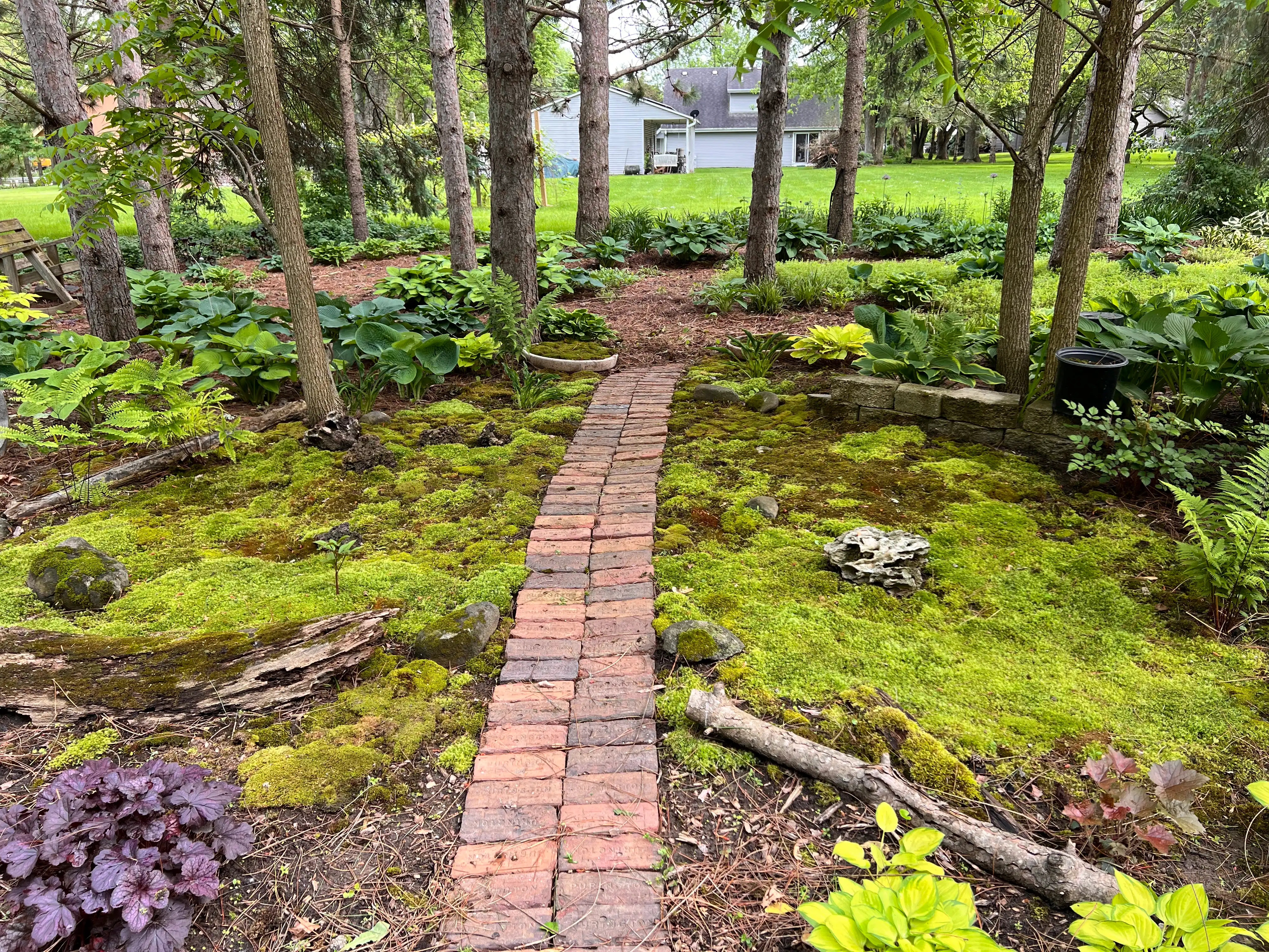 Spring & Fall Cleanup / Maintenance
